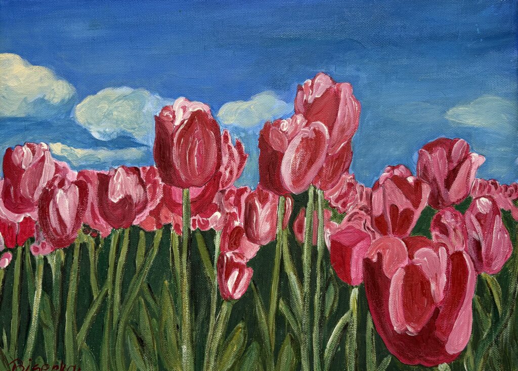 POLJE TULIPANOV